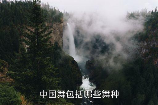 中国舞包括哪些舞种