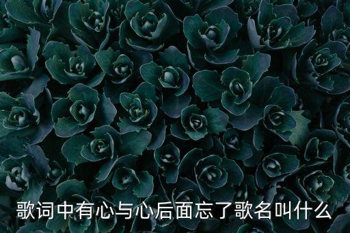 歌词中有心与心后面忘了歌名叫什么