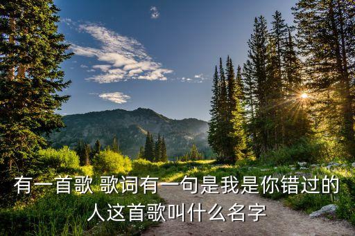 有一首歌 歌词有一句是我是你错过的人这首歌叫什么名字