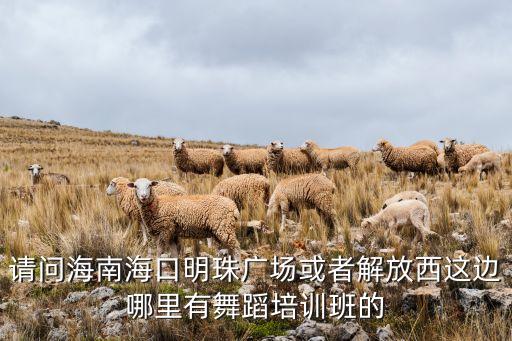海口成人舞蹈培训班，请问海南海口明珠广场或者解放西这边哪里有舞蹈培训班的