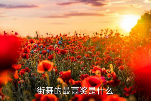 舞蹈最高奖项是什么奖，街舞的最高奖是什么