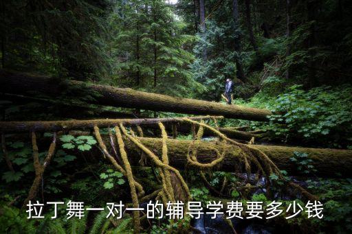 一对一舞蹈教学多少钱一节课，哪里学街舞一对一教学的便宜