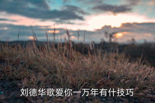 刘德华歌爱你一万年有什技巧