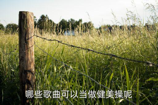 哪些歌适合广场舞，什么歌适合放在广场上跳舞