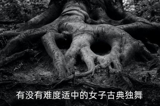 有没有难度适中的女子古典独舞