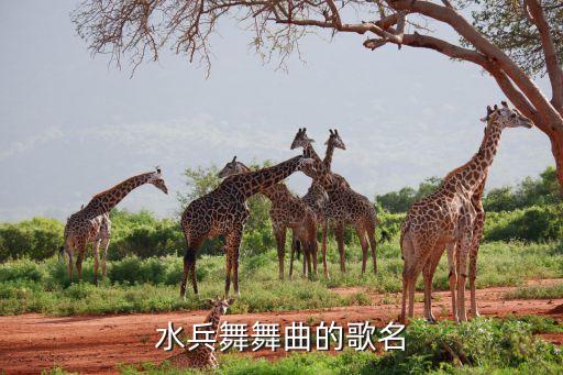 水兵舞曲什么名字，水兵舞舞曲的歌名