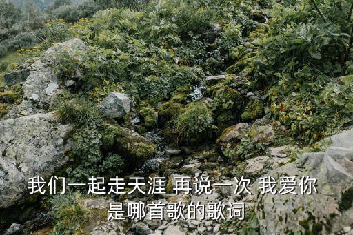 我们一起走天涯 再说一次 我爱你 是哪首歌的歌词