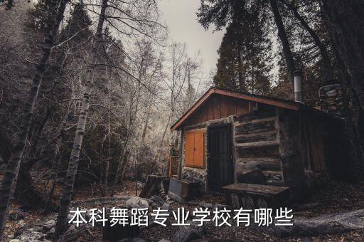 本科舞蹈专业学校有哪些