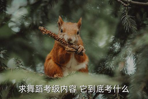 中国舞蹈十三级有什么，13级歌都有什么