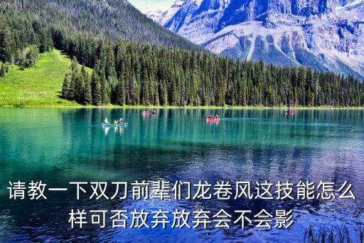 请教一下双刀前辈们龙卷风这技能怎么样可否放弃放弃会不会影