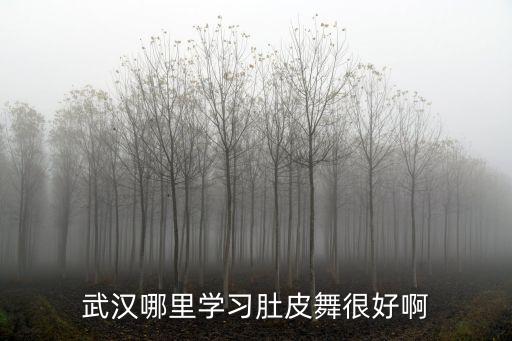 武汉哪里学习肚皮舞很好啊