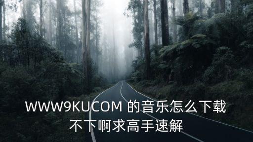 WWW9KUCOM 的音乐怎么下载不下啊求高手速解