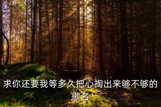 求你还要我等多久把心掏出来够不够的歌名