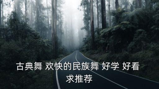 古典舞 欢快的民族舞 好学 好看 求推荐