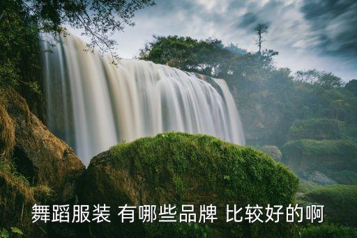 舞蹈服装 有哪些品牌 比较好的啊