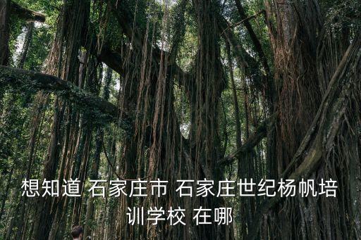 想知道 石家庄市 石家庄世纪杨帆培训学校 在哪