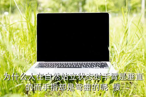 肌肉直立状态是怎么样的，当人体直立手臂放松自然下垂时人们手臂上的肱二头肌和肱三头肌