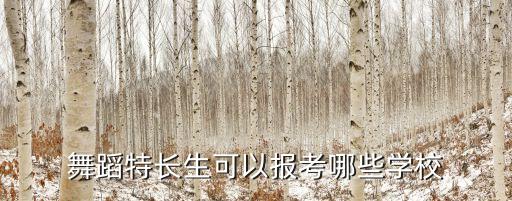 舞蹈特长生可以报考哪些学校