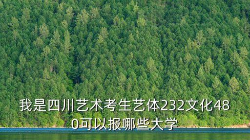 我是四川艺术考生艺体232文化480可以报哪些大学