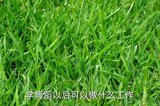 学舞蹈以后可以做什么工作