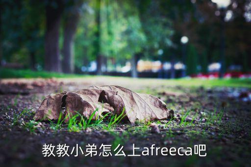 教教小弟怎么上afreeca吧