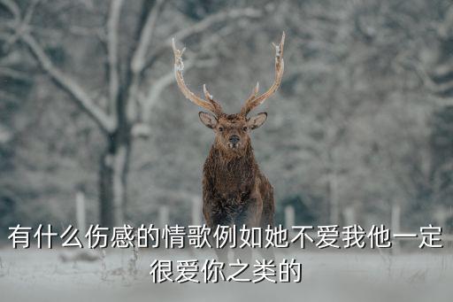 有什么伤感的情歌例如她不爱我他一定很爱你之类的