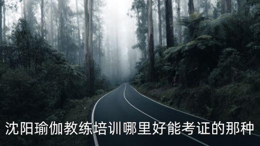 沈阳瑜伽教练培训班哪里好，沈阳好一点的瑜珈培训班