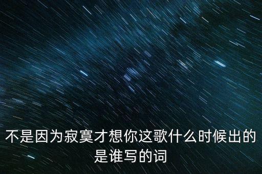 不是因为寂寞才想你这歌什么时候出的是谁写的词