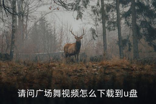 请问广场舞视频怎么下载到u盘