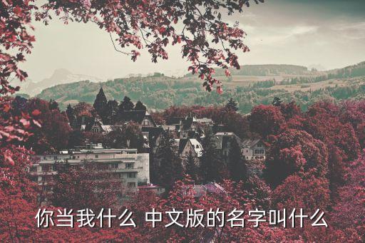 你当我是什么歌曲下载，你当我什么 中文版的名字叫什么
