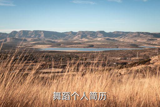 舞蹈个人简历