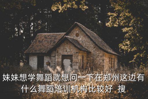 妹妹想学舞蹈就想问一下在郑州这边有什么舞蹈培训机构比较好  搜