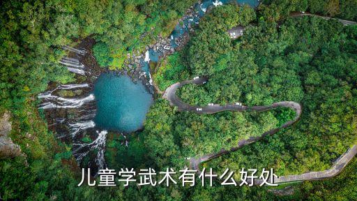 儿童学武术的好处和坏处，儿童练习武术有哪些好处