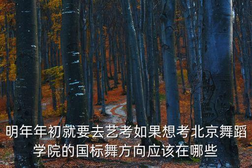 明年年初就要去艺考如果想考北京舞蹈学院的国标舞方向应该在哪些