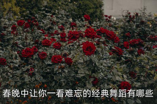 什么舞经典，彝族经典舞蹈有哪些