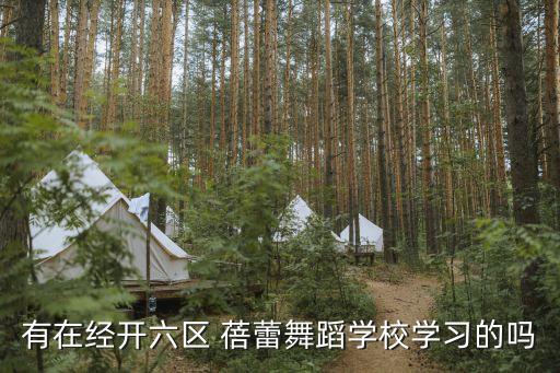 有在经开六区 蓓蕾舞蹈学校学习的吗