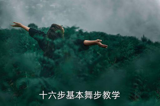 十六步基本舞步教学
