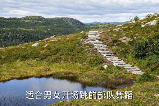 关于当兵的群舞有哪些，关于军人舞蹈
