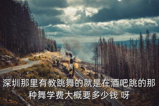酒吧舞蹈培训多少钱一个月，深圳那里有教跳舞的就是在酒吧跳的那种舞学费大概要多少钱 呀