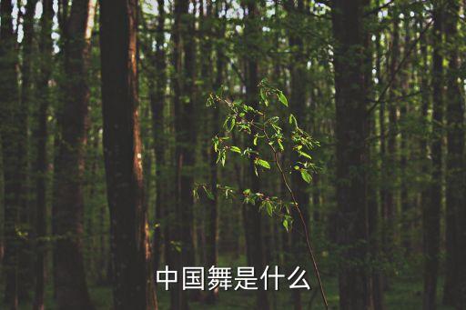 幼儿中国舞是什么舞蹈，幼儿舞蹈有哪些
