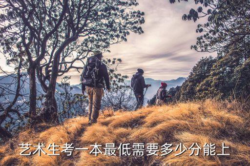 山东高考舞蹈艺考多少分能上一本，艺术生考一本最低需要多少分能上