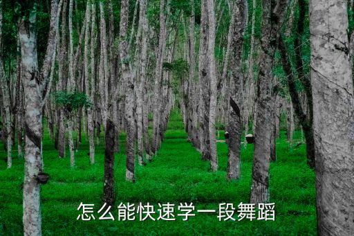 怎么能快速学一段舞蹈
