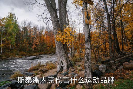 体育冠军代言，阿迪达斯有几位著名的运动员代言