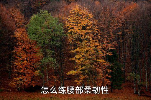 怎么提高腰部腰部柔韧性，怎么练腰部柔韧性