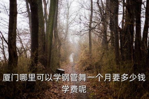 厦门哪里可以学钢管舞一个月要多少钱学费呢