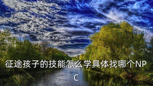 征途孩子的技能怎么学具体找哪个NPC