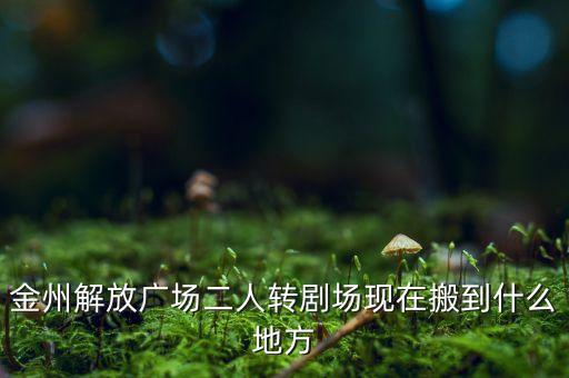 金州解放广场二人转剧场现在搬到什么地方
