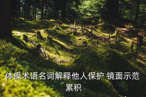 镜面示范是什么意思，什么是镜面示范