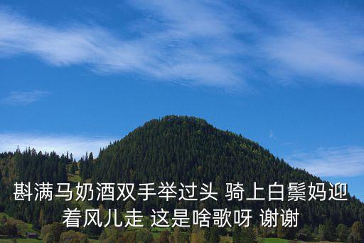 斟满马奶酒双手举过头 骑上白鬃妈迎着风儿走 这是啥歌呀 谢谢
