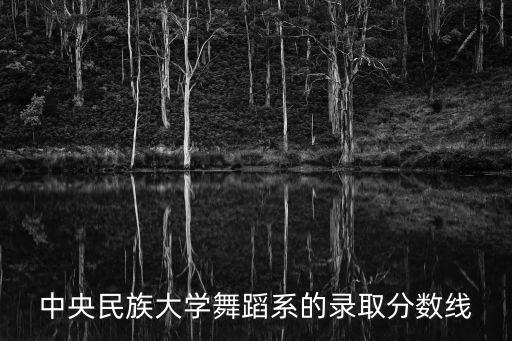 中央民族大学舞蹈系的录取分数线